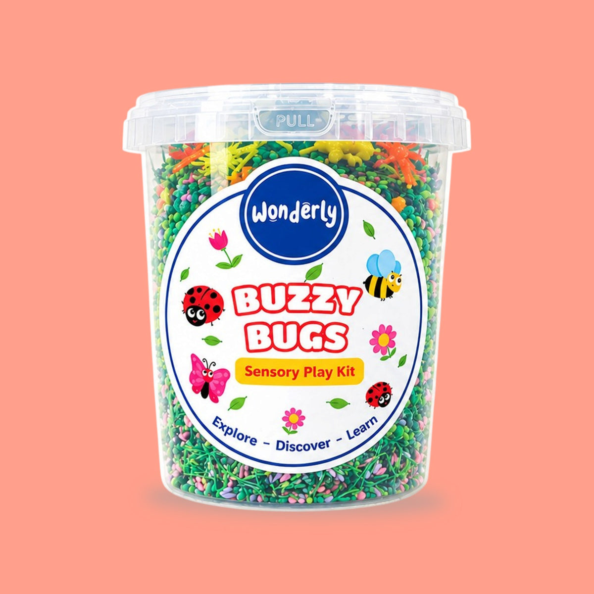 Insects Sensory Kit
