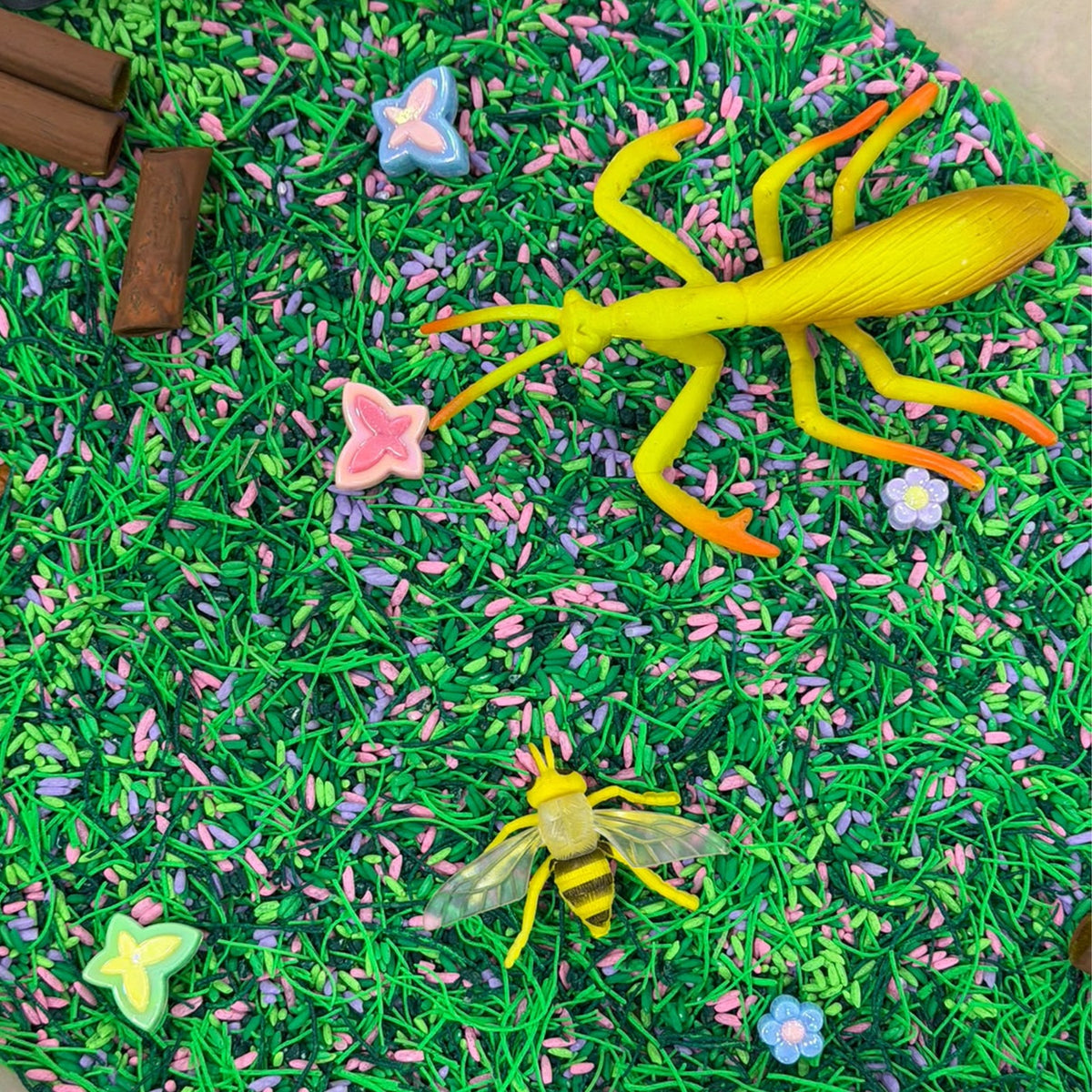 Insects Sensory Kit
